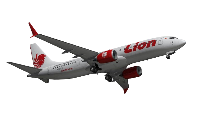 lion-removebg-preview